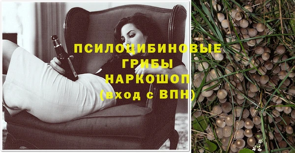 марки nbome Алексеевка