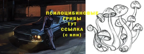 ECSTASY Алексин