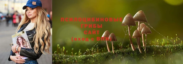 марки nbome Алексеевка