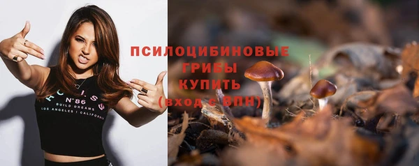 ECSTASY Алексин