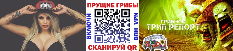 цена omg маркетплейс Галлюциногенные грибы GOLDEN TEACHER Кинель